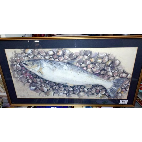 62 - A Framed and glazed original watercolour of a salmon in a pebbled stream, signed by W. Polson. 65cm ... 