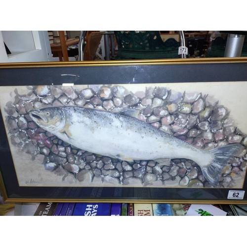 62 - A Framed and glazed original watercolour of a salmon in a pebbled stream, signed by W. Polson. 65cm ... 