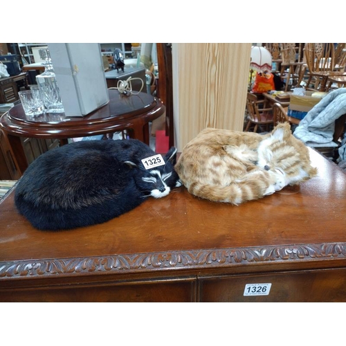 1325 - Two realistic sleeping cats