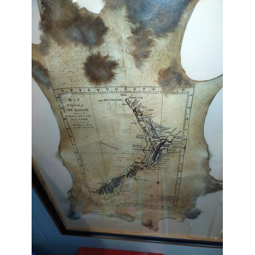 1358 - A vintage framed map of New Zealand on a taxidermy Possum skin. 73 cm x 53cm. COLLECT ONLY.