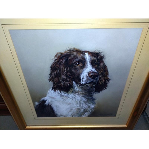 1439 - A large gilt framed print of a spaniel. 61cm x 65cm. COLLECT ONLY.