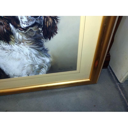 1439 - A large gilt framed print of a spaniel. 61cm x 65cm. COLLECT ONLY.