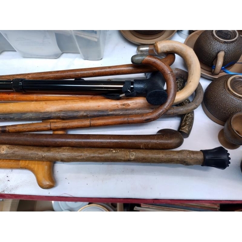 21 - A quantity of vintage walking sticks