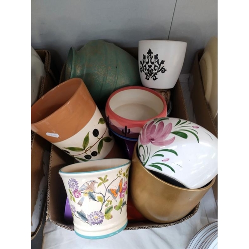 47 - A box of plant pots