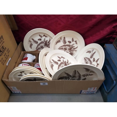 48 - A quantity of Royal Victoria plates & 4 Cup-a-soup mugs