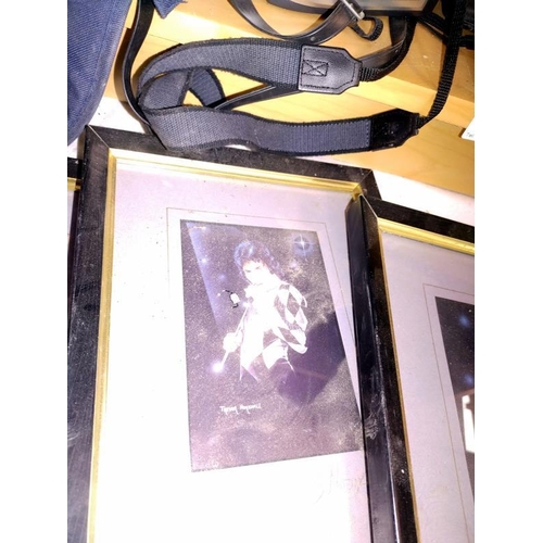 134 - 4 framed and signed pictures of Freddie Mercury.