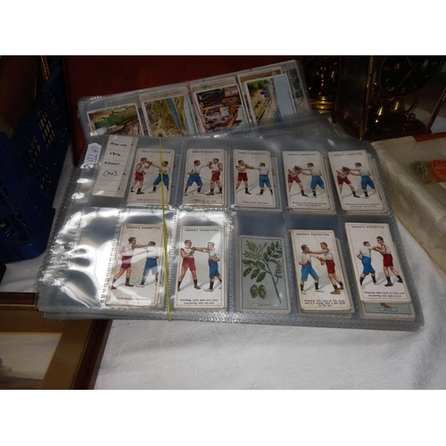 1243 - A good album & many sets of tea/cigarette cards in plastic covers