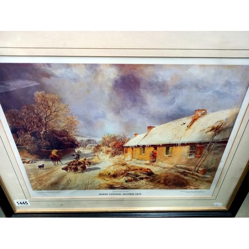 1445 - A framed and glazed print 'Burns Cottage, Alloway 1876' 67 x 58 cm. COLLECT ONLY.