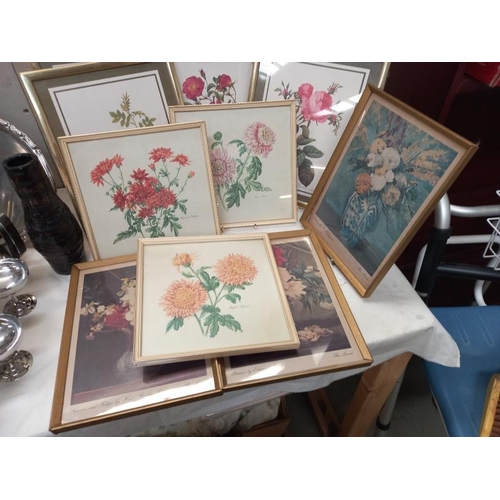 98 - A quantity of flower pictures in frames COLLECT ONLY