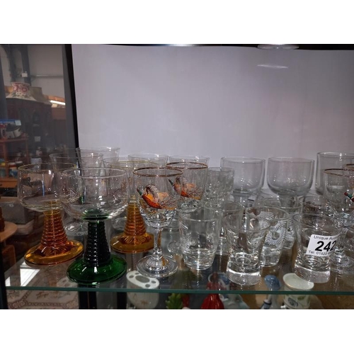 242 - A shelf of drinking glasses