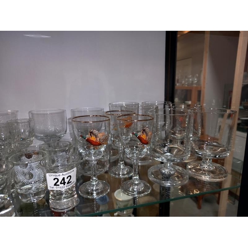 242 - A shelf of drinking glasses