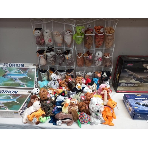 Lot 25        
