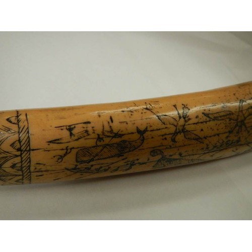 2398 - A mid 20th century replica scrimshaw.