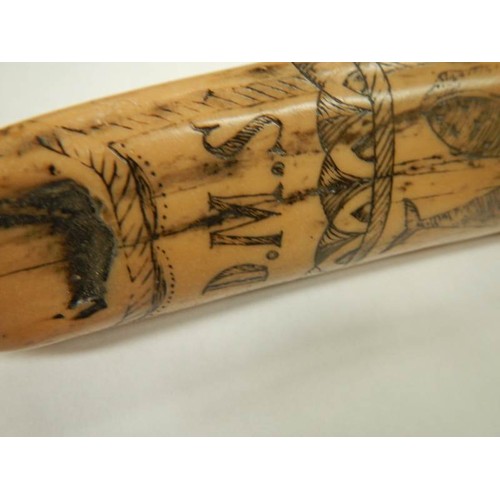 2398 - A mid 20th century replica scrimshaw.