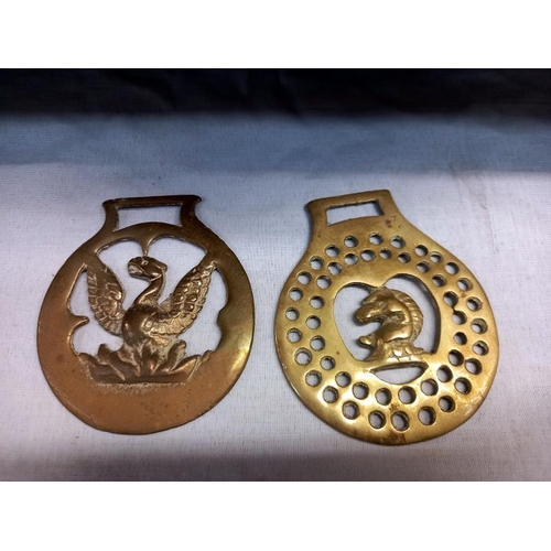 28 - A quantity of horse brasses