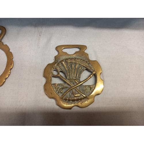 28 - A quantity of horse brasses