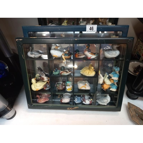 46 - A collection of Graham/Carol/Haynes ducks in cabinets. COLLECT ONLY.