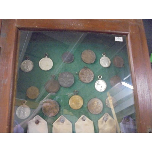 1709 - A 1930's onwards display cabinet of Lincolnshire Horticultural and Gardening medals and ribbons.