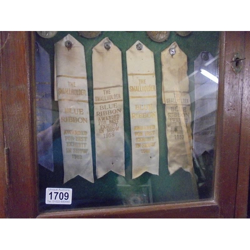 1709 - A 1930's onwards display cabinet of Lincolnshire Horticultural and Gardening medals and ribbons.