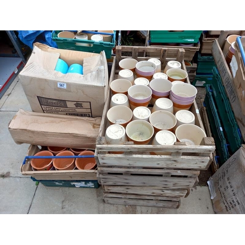 567 - 8 boxes of plant pots. Collect Only