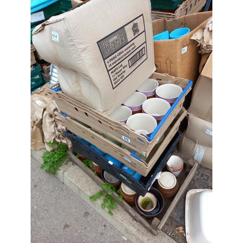 570 - A large quantity of plant pots. Collect Only