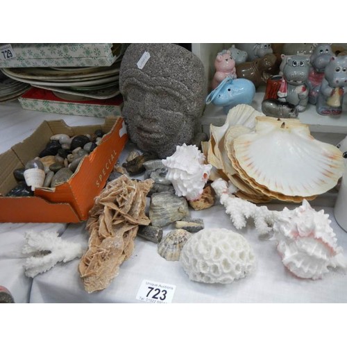 723 - A quantity of sea shells, fossils etc.,