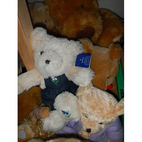 600B - A quantity Teddy bears.