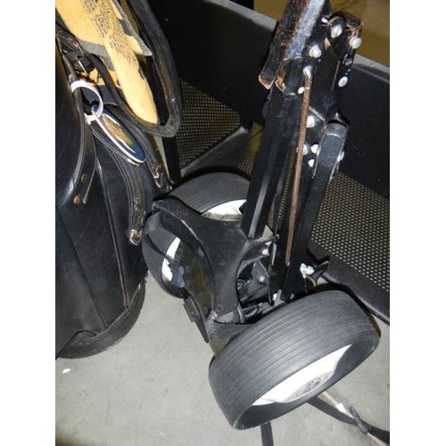 600C - A set of Regal Wild Thing Golf clubs in bag with trolley and many balls, COLLECT ONLY.