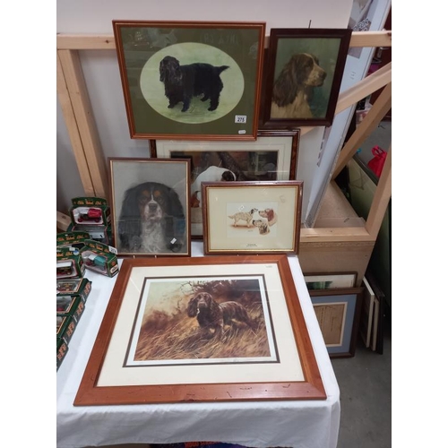 275 - A selection of framed and glazed prints of mainly Spaniels including English Setters.