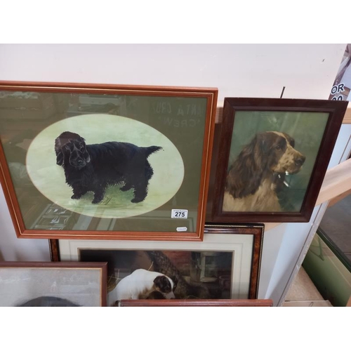 275 - A selection of framed and glazed prints of mainly Spaniels including English Setters.