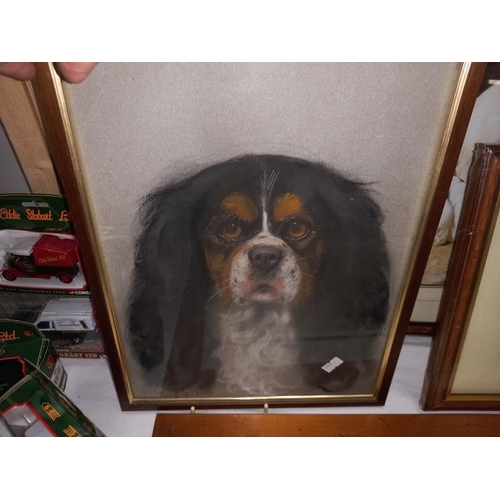 275 - A selection of framed and glazed prints of mainly Spaniels including English Setters.