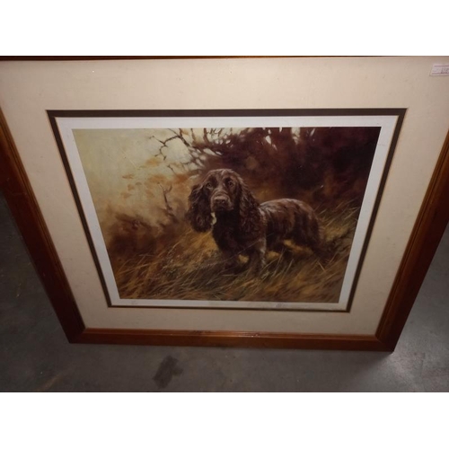 275 - A selection of framed and glazed prints of mainly Spaniels including English Setters.