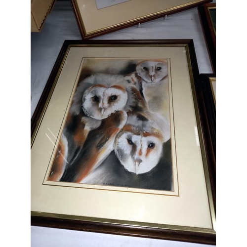 323 - 4 Owl prints.