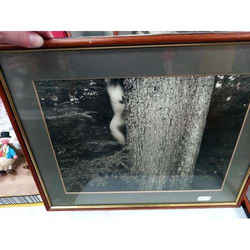 334 - Five framed erotic photographs, one missing glass.