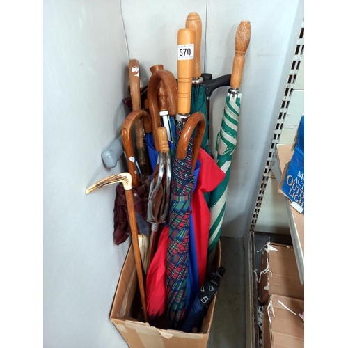 570 - A good selection of umbrellas and walking sticks including gamebird shooting stick.