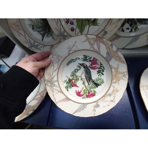 677 - 6 Royal Worcester bird plates