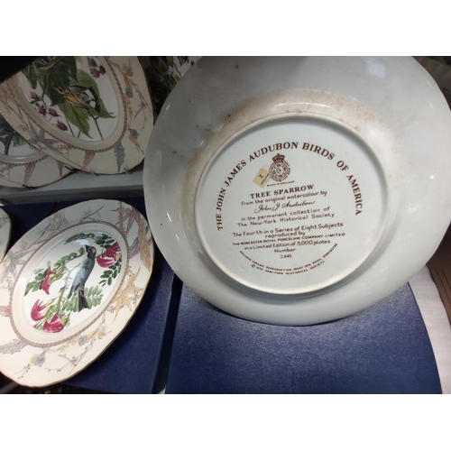 677 - 6 Royal Worcester bird plates