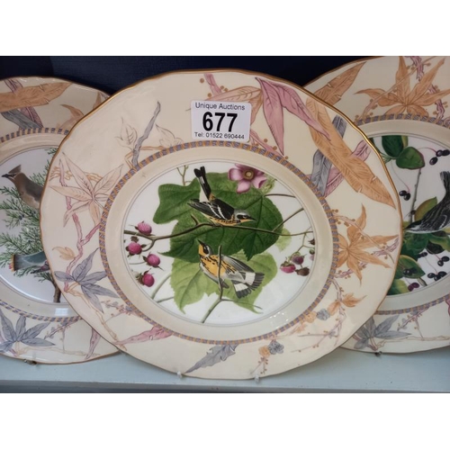 677 - 6 Royal Worcester bird plates