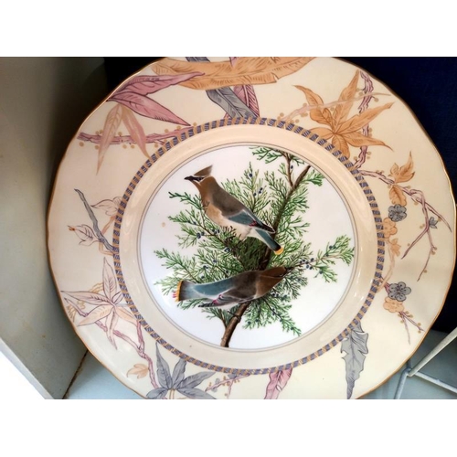 677 - 6 Royal Worcester bird plates