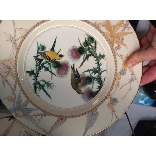 677 - 6 Royal Worcester bird plates