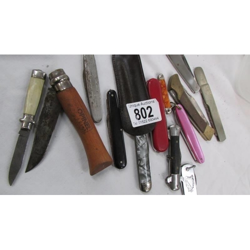 802 - A quantity of old pen knives.