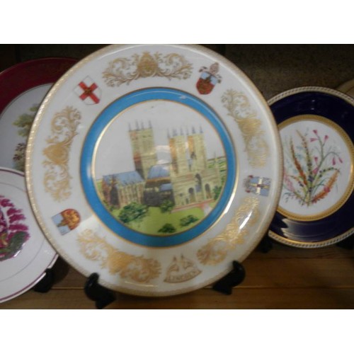 593 - Two shelves of assorted collector's plates.