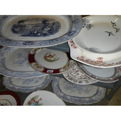 637 - A good lot of early 20th century meat platters (some a/f).