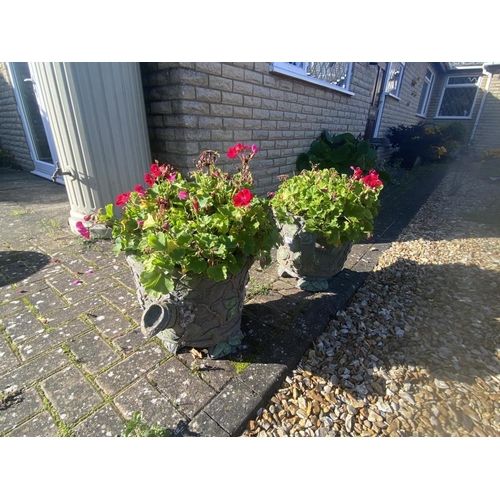 183 - 2 Concrete teapot planters. Collect Only.