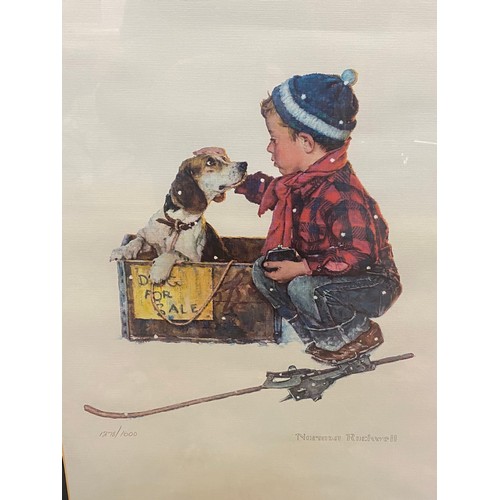 504 - A Limited Edition framed Norman Rockwell print 1278/1600 Boy with Puppy. 52cm w 67 cm h