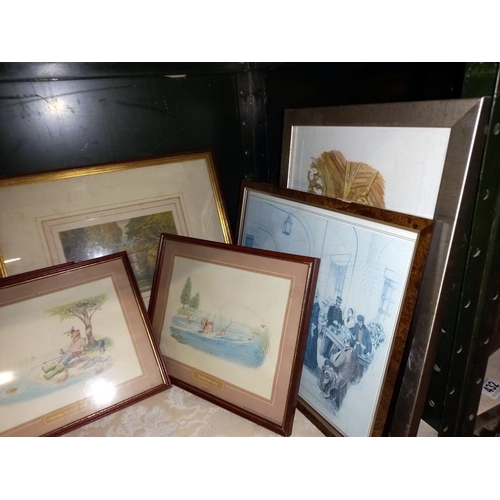 427 - A shelf of pictures including 4 funny fishing prints