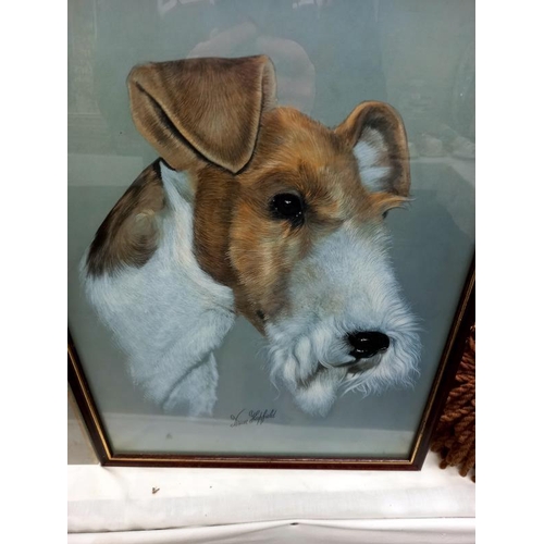 564 - 2 vintage prints of a Terrier dog by Brian Hupfield, glass A/F