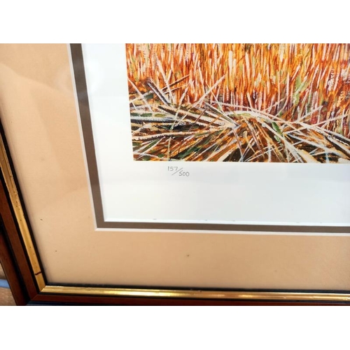 571 - A framed & glazed limited edition print by Peter Goodhall