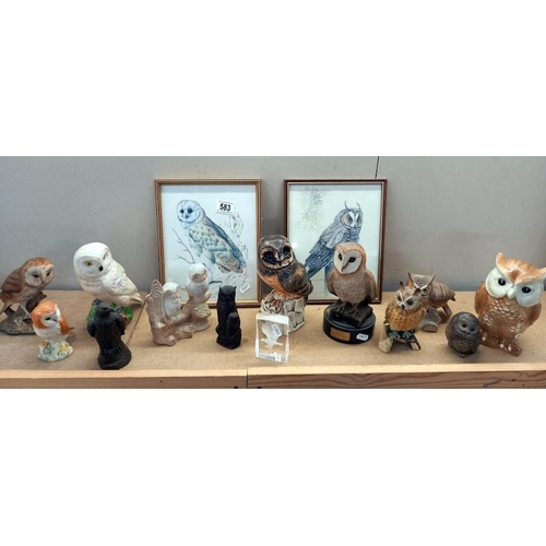 583 - A collection of owl figures including Poole, Beswick one is a/f, plus 2 pictures and 2 other birds