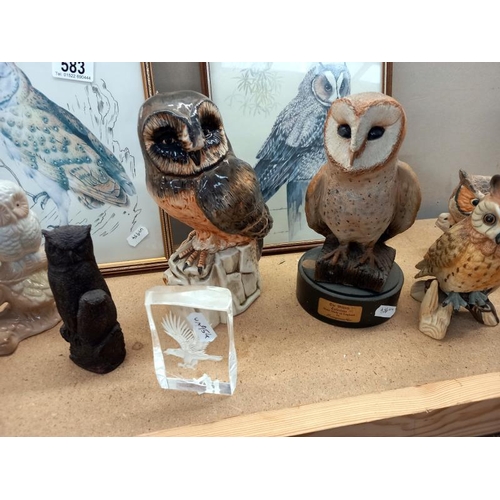 583 - A collection of owl figures including Poole, Beswick one is a/f, plus 2 pictures and 2 other birds